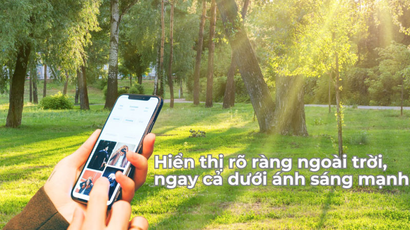 Nit là gì - vai trò của NIT