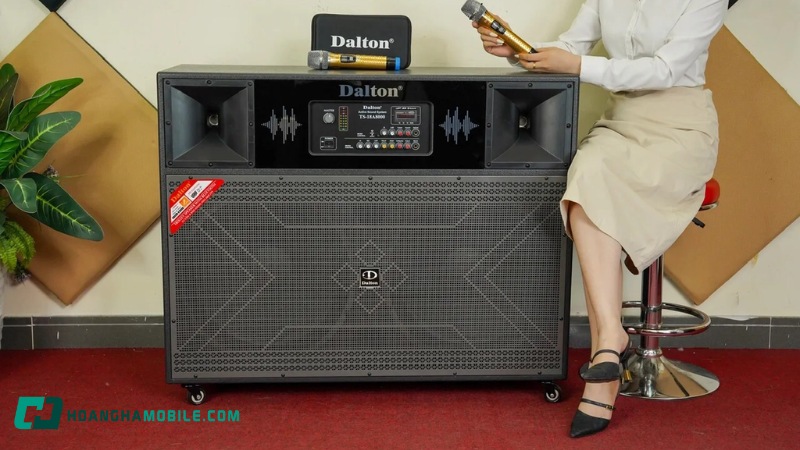 chinh-loa-dalton-16