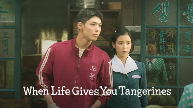 Khi cuộc đời cho bạn quả quýt