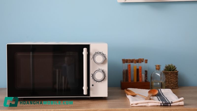 lo-vi-song-dien-may-xanh-02