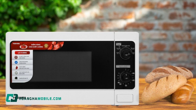 lo-vi-song-toshiba-er-sm20-w1-vn-12