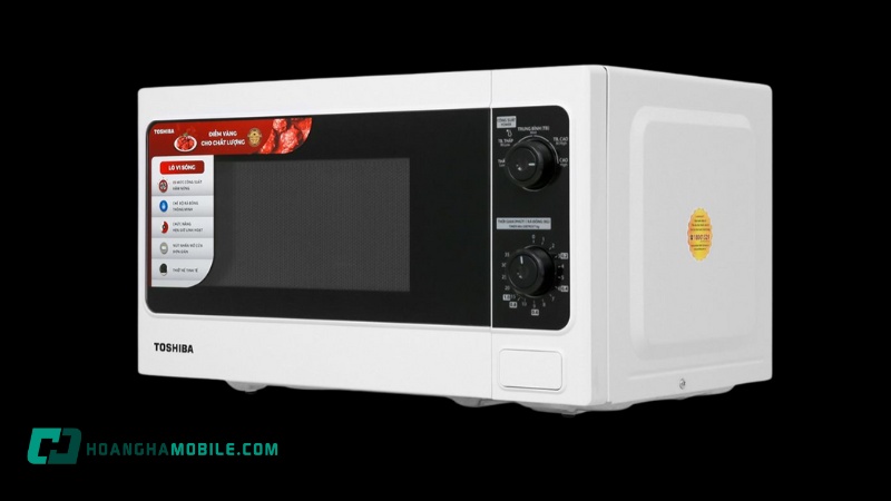 lo-vi-song-toshiba-er-sm20-w1-vn-7