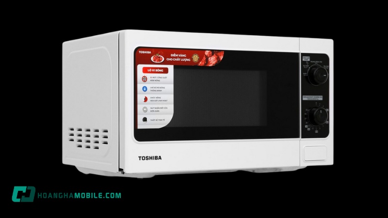 lo-vi-song-toshiba-er-sm20-w1-vn-8