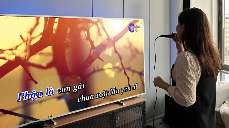 loa-hat-karaoke-gia-dinh-2