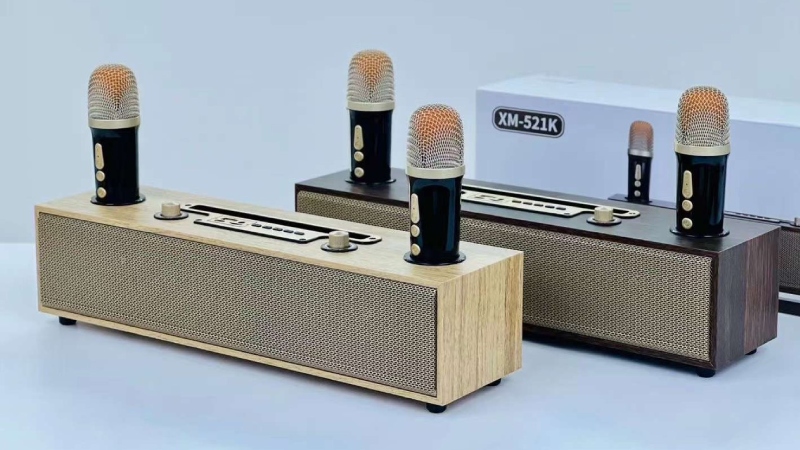 loa-hat-karaoke-gia-dinh-3