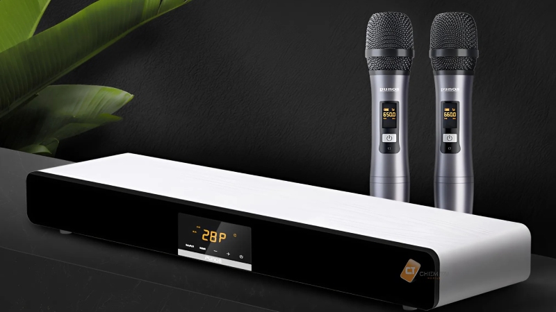 loa-hat-karaoke-gia-dinh-6