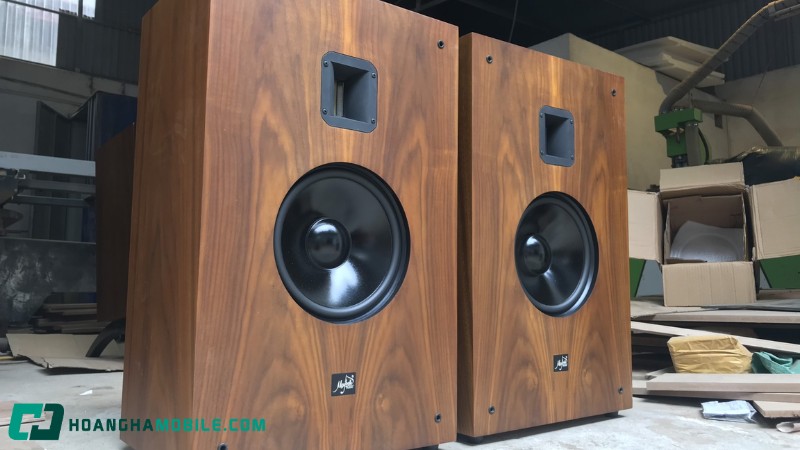 nhung-dieu-ban-chac-chan-phai-biet-truoc-khi-mua-loa-thung-1