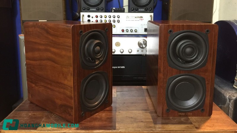 nhung-dieu-ban-chac-chan-phai-biet-truoc-khi-mua-loa-thung-4