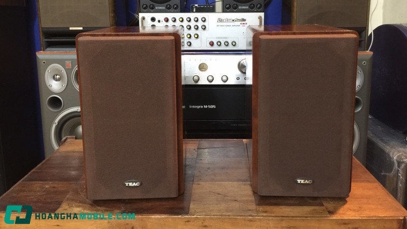 nhung-dieu-ban-chac-chan-phai-biet-truoc-khi-mua-loa-thung-5