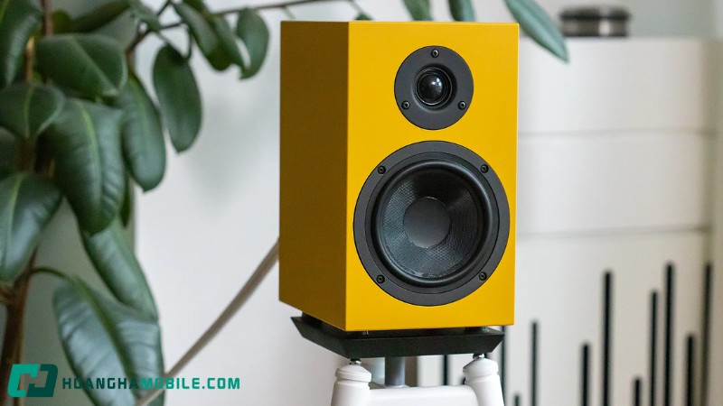 nhung-dieu-ban-chac-chan-phai-biet-truoc-khi-mua-loa-thung-8