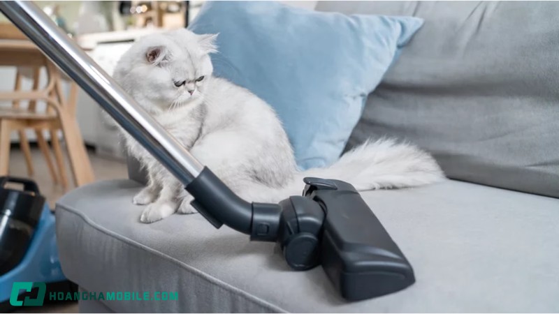 cam-nang-chon-mua-may-hut-bui-va-luu-y-quan-trong-9