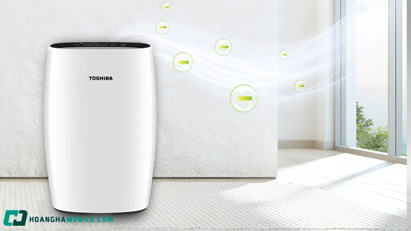 may-loc-khong-khi-noi-dia-nhat-10