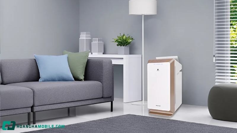 may-loc-khong-khi-noi-dia-nhat-11