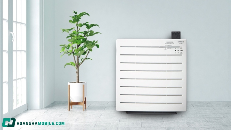 may-loc-khong-khi-noi-dia-nhat-12