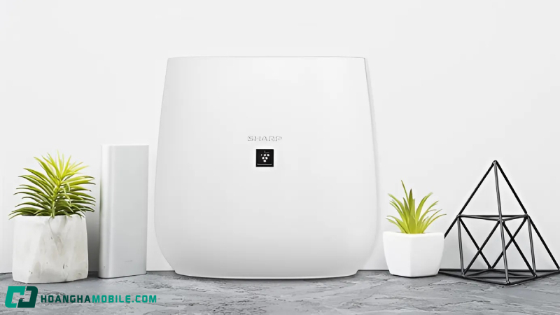 may-loc-khong-khi-noi-dia-nhat-7