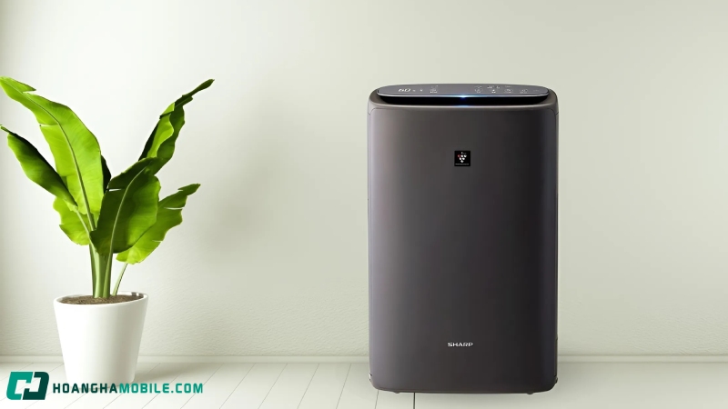 may-loc-khong-khi-noi-dia-nhat-8