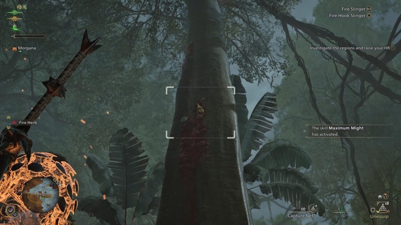 san-bo-hercules-vang-1