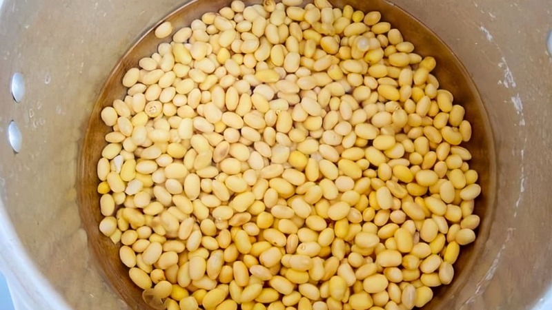 tac-dung-cua-lo-vi-song-12