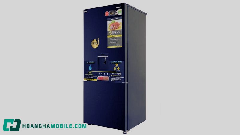 tu-lanh-2-canh-panasonic-5