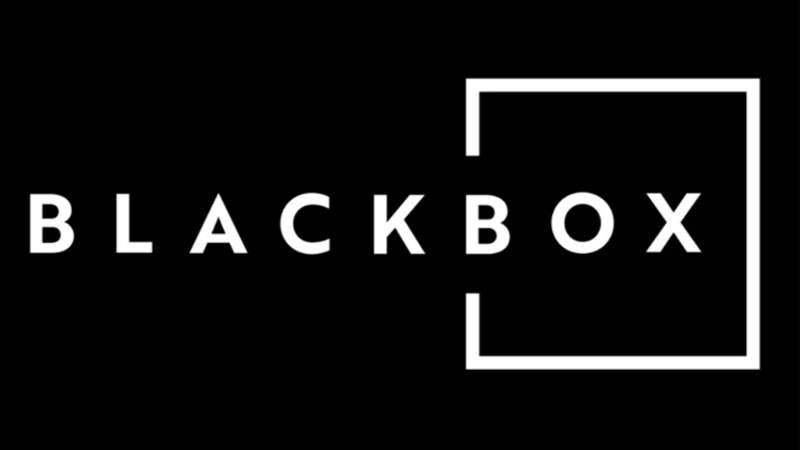 blackbox-ai-12