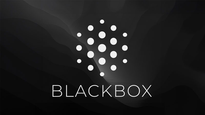 blackbox-ai-14