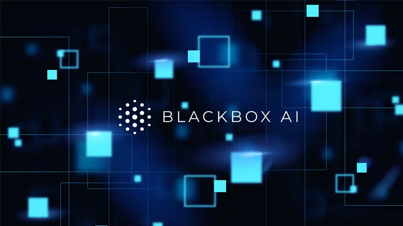 blackbox-ai-3