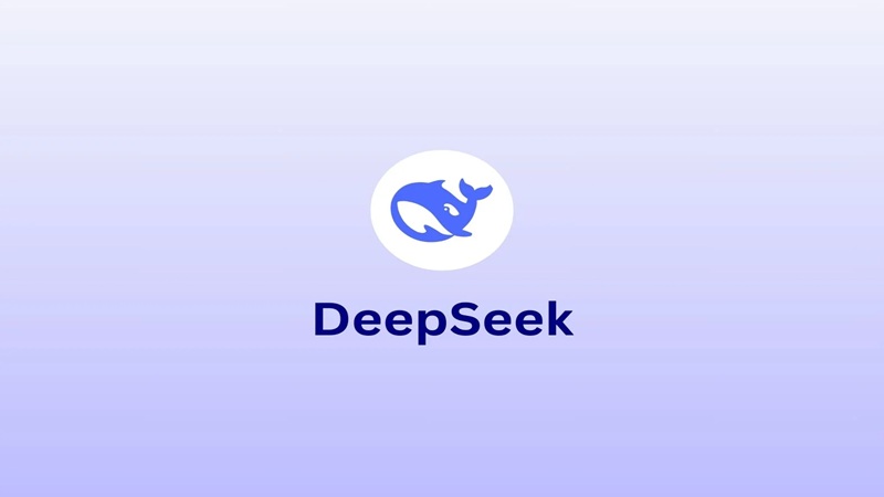 deepseek-pc-13