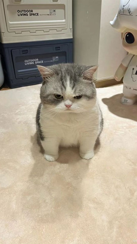 hinh-nen-iphone-16-36