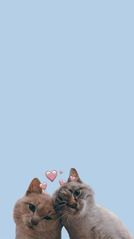 hinh-nen-iphone-16-42