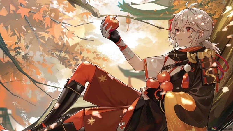 ho-tro-genshin-impact-3