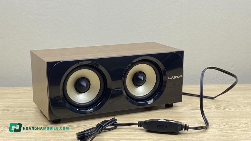 loa-may-tinh-5