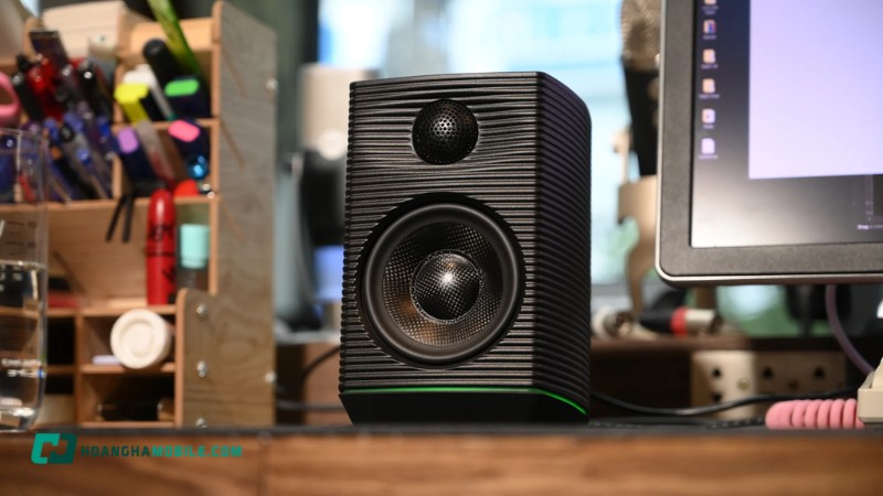loa-vi-tinh-10