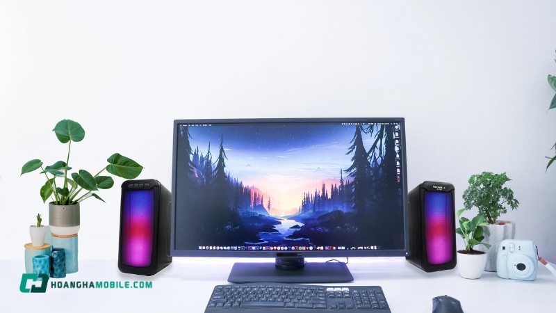 loa-vi-tinh-12