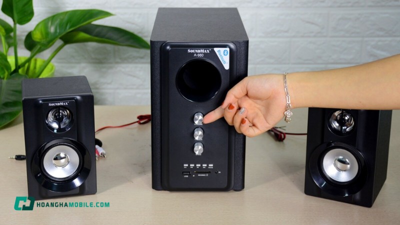 loa-vi-tinh-15