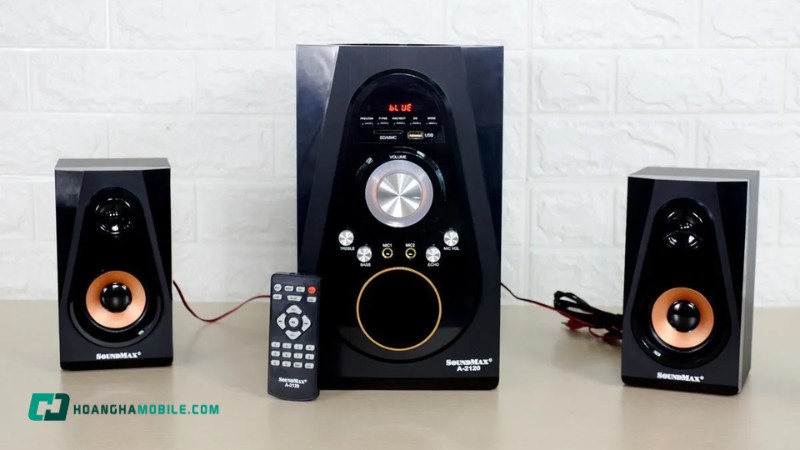 loa-vi-tinh-5