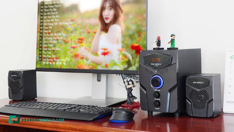loa-vi-tinh-6