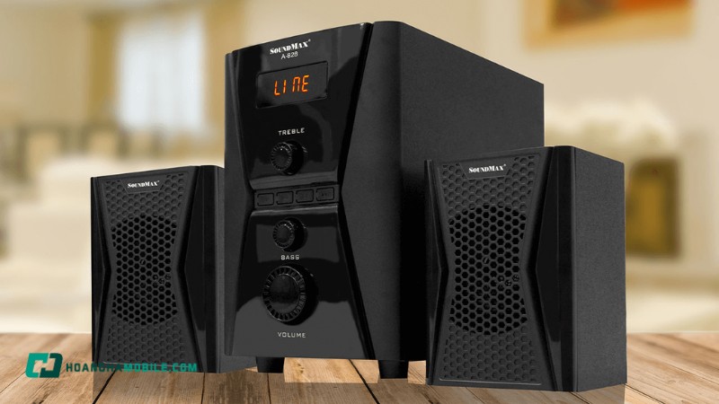 loa-vi-tinh-8
