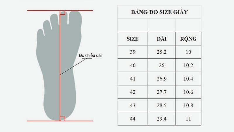 bang-size-giay-8
