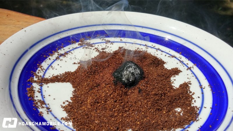 20-cach-duoi-muoi-an-toan-hieu-qua-va-tan-goc-ngay-tai-nha-12