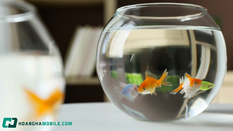 20-cach-duoi-muoi-an-toan-hieu-qua-va-tan-goc-ngay-tai-nha-16