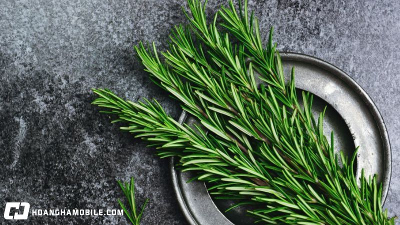 20-cach-duoi-muoi-an-toan-hieu-qua-va-tan-goc-ngay-tai-nha-19