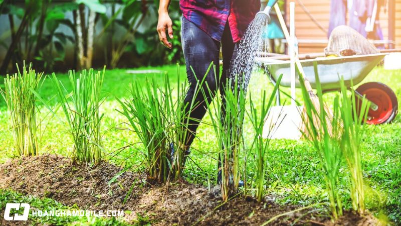 20-cach-duoi-muoi-an-toan-hieu-qua-va-tan-goc-ngay-tai-nha-20