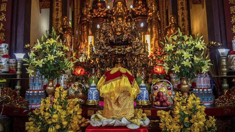 can-canh-xa-loi-phat-1