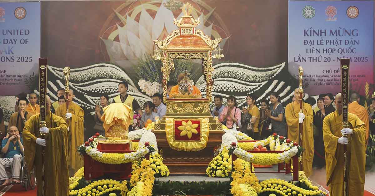 can-canh-xa-loi-phat-thump