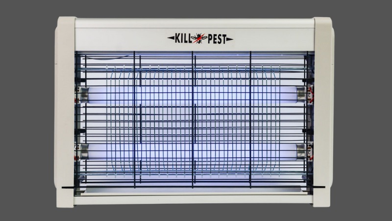 den-bat-con-trung-10