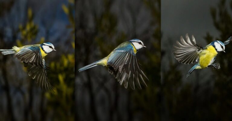 chi-so-fps-la-gi-fps-bao-nhieu-la-tot-nhat-khi-choi-game-lam-sao-de-do-fps-17