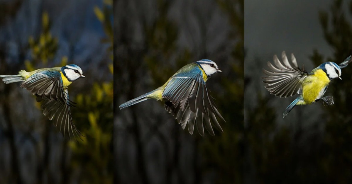 chi-so-fps-la-gi-fps-bao-nhieu-la-tot-nhat-khi-choi-game-lam-sao-de-do-fps-17