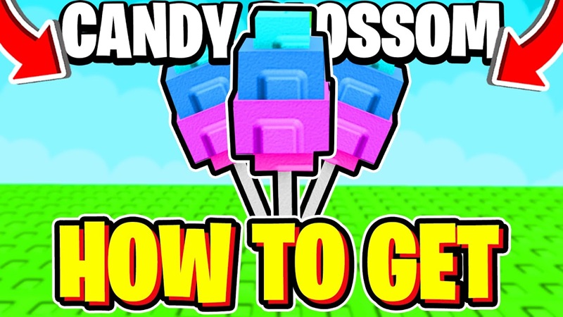 grow-a-garden-tier-list-4