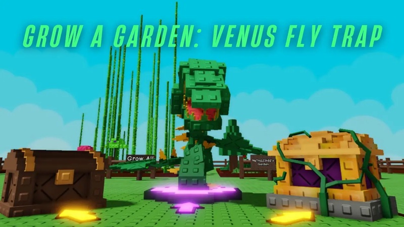 hat-giong-grow-a-garden-2