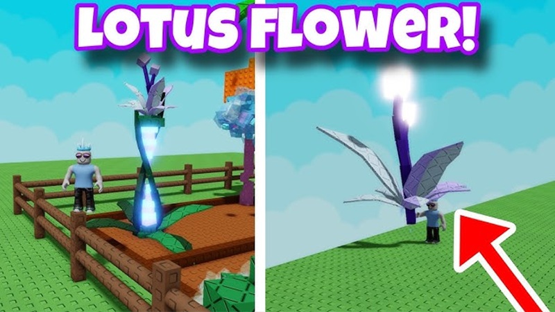 hat-giong-grow-a-garden-5